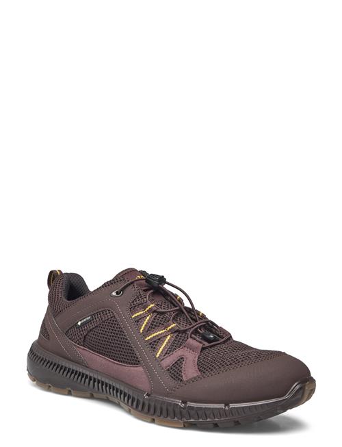 ECCO | Terracruise Ii M | 42