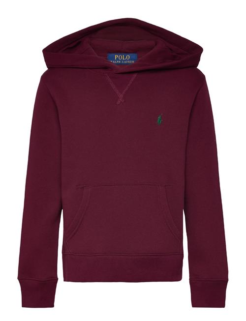 Ralph Lauren Kids | Seasonal Fleece-Ls Po Hood-Tp-Knt | 132-137