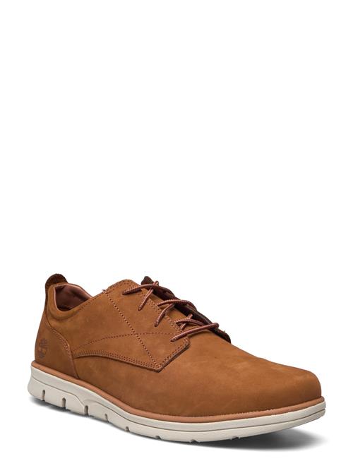 Timberland | Bradstreet Low Lace Up Sneaker Saddle | 42