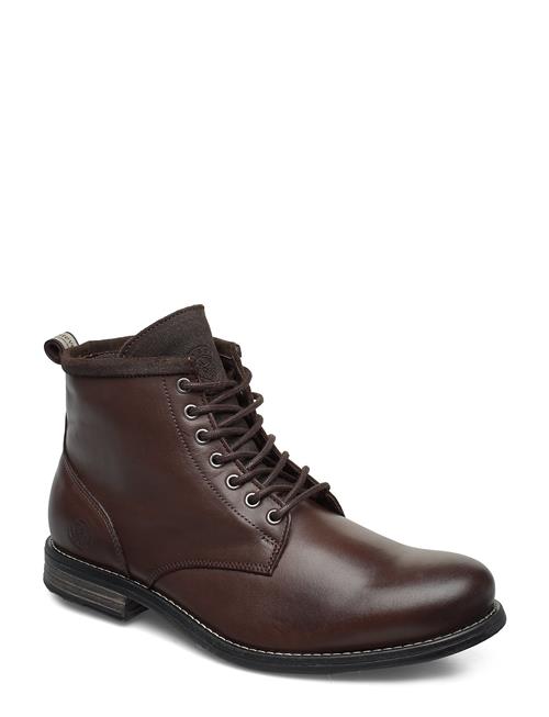 Sneaky Steve | Peaker Ii Brown | 43