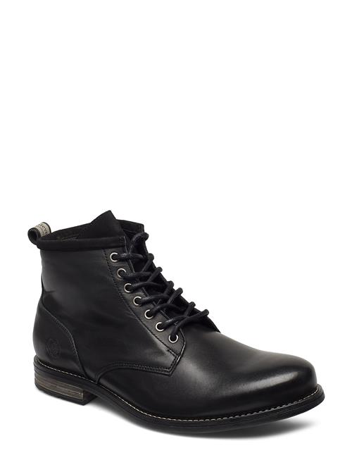 Sneaky Steve | Peaker Ii Black | 44