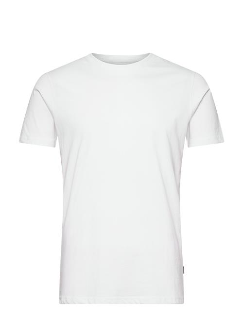 Solid | Sdrock Ss | M