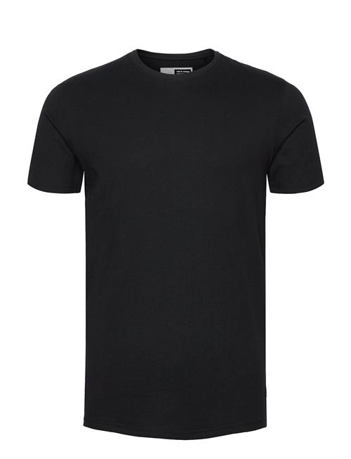 Solid | Sdrock Ss | M