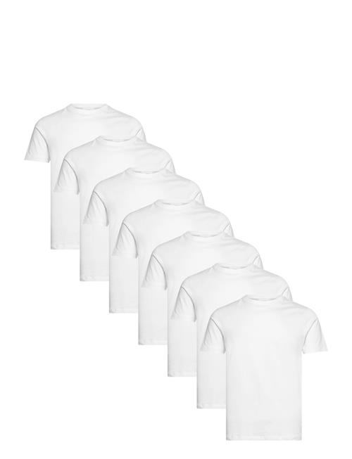 Lindbergh | Basic O-Neck Tee S/S 7 Pack | L