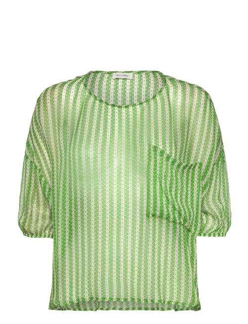 American Vintage | Cosawood | XS/S