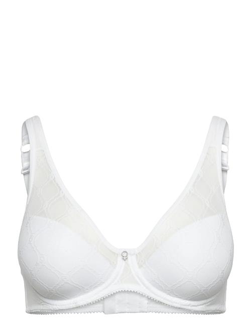 Abecita | Rita Wire Bra Padded Moulded | D x 75