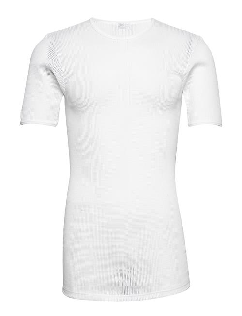 JBS | Jbs T-Shirt Mesh | XXL