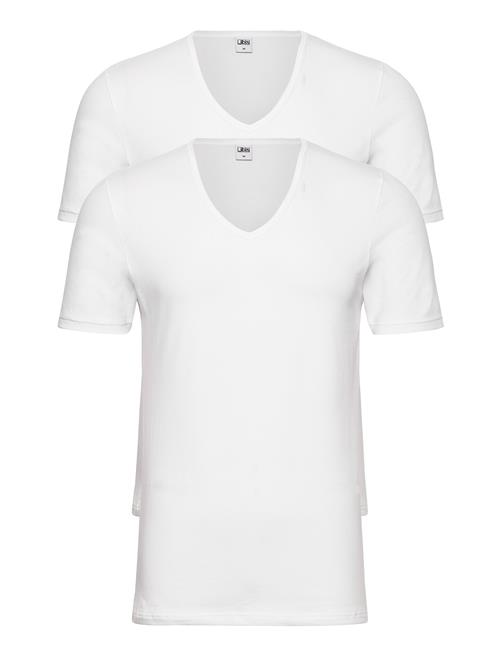 JBS | Jbs 2-Pack T-Shirt V-Neck Gots | L