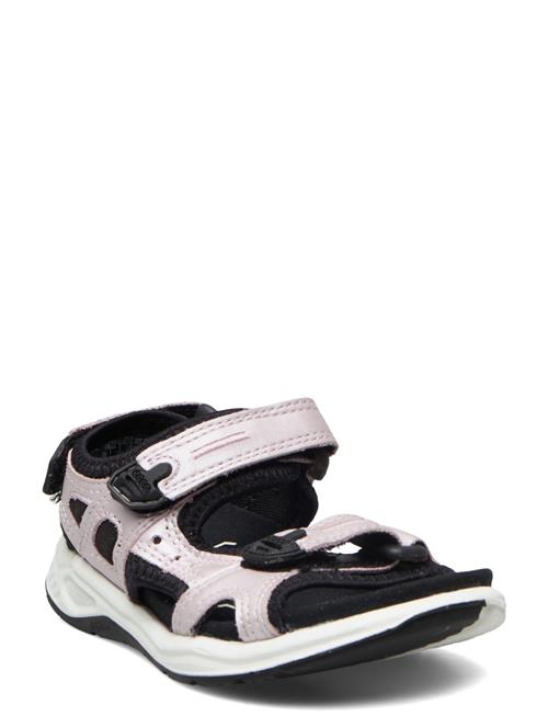 ECCO | X-Trinsic K | 24