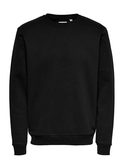 ONLY & SONS | Onsceres Crew Neck Noos | S