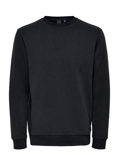 ONLY & SONS | Onsceres Crew Neck Noos | XXL