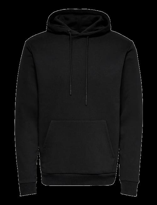 ONLY & SONS | Onsceres Hoodie Sweat Noos | L