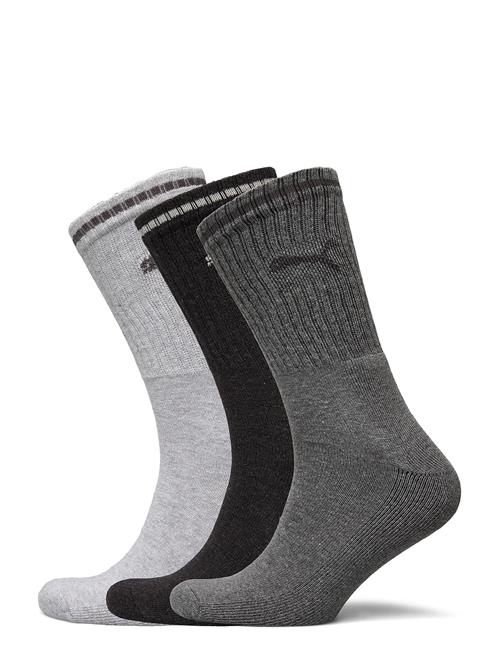 PUMA | Puma Unisex Striped Crew Sock 3P | 43-46