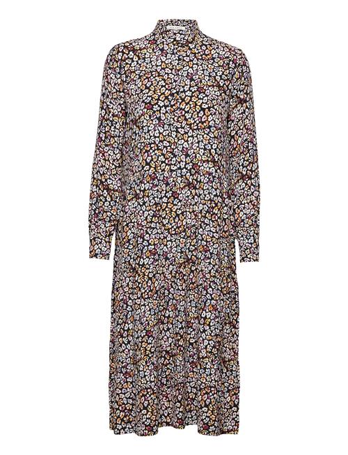 Six Ames | Coleen | 36