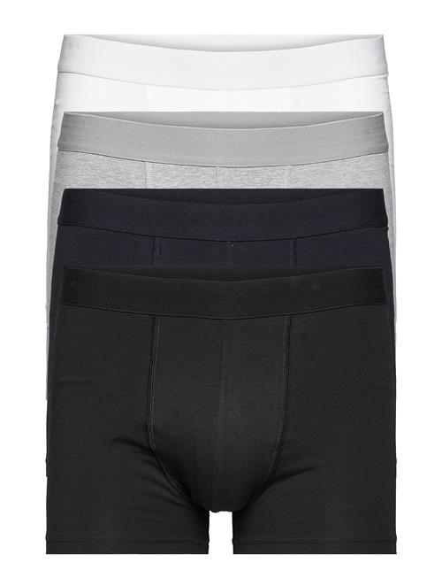 Bread & Boxers | 3-Pack Boxer Brief | L