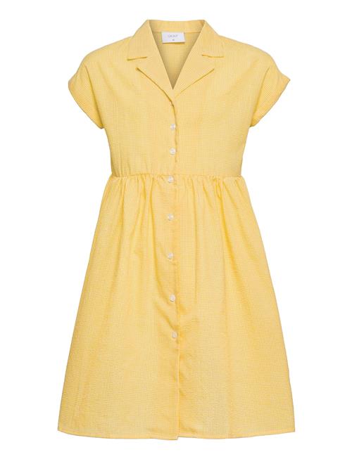 Grunt | Jane Check Dress | 170