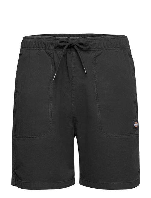 Dickies | Pelican Rapids | M