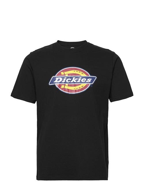 Dickies | Icon Logo Tee | M