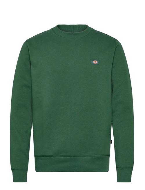 Dickies | M Oakport Sweatshirt | XS