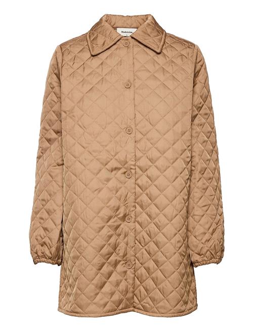 Modström | Joey Coatigan | S