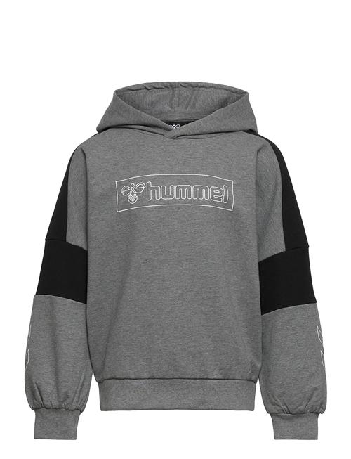 Hummel | Hmlboxline Hoodie | 104