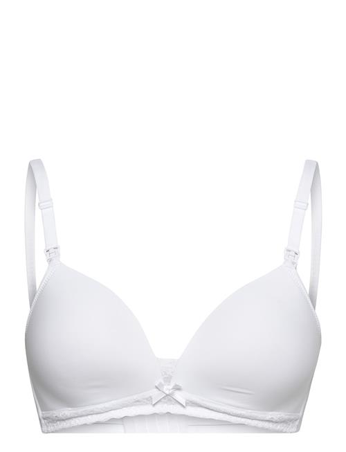 Dorina | Light Padded May Soft Bra | C x 85