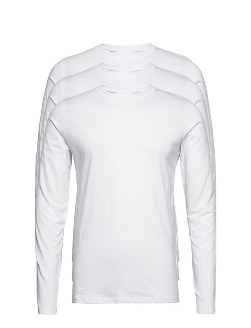 Lindbergh | 3Pk Basic Tee L/S | L