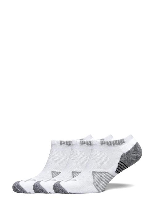 PUMA Golf | Puma Essential Low Cut 3 Pair Pack | 38-41