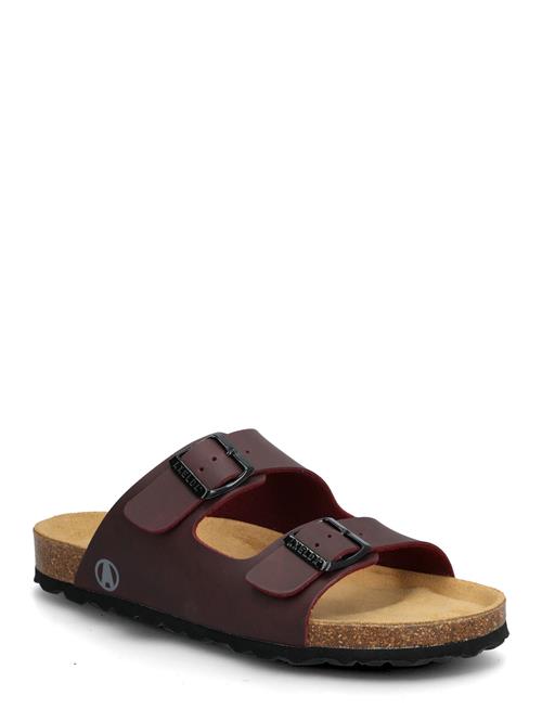 Axelda | Charlie | 39