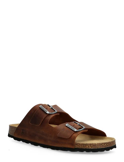 Axelda | Andrea | 38