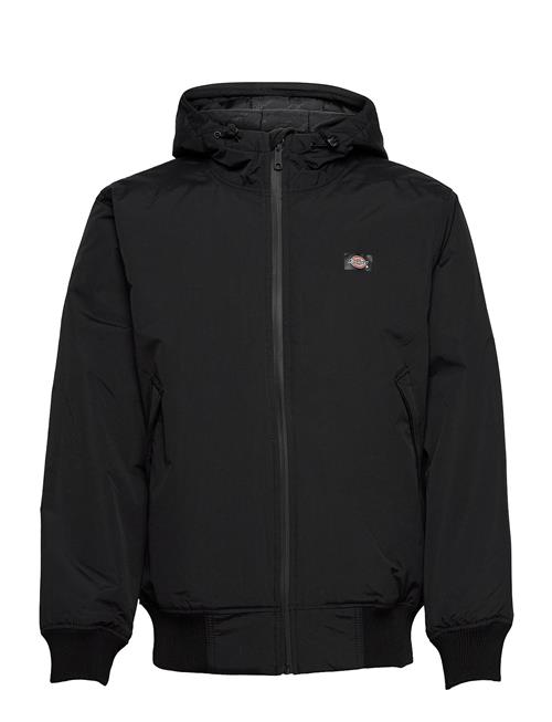 Dickies | New Sarpy Jacket | M