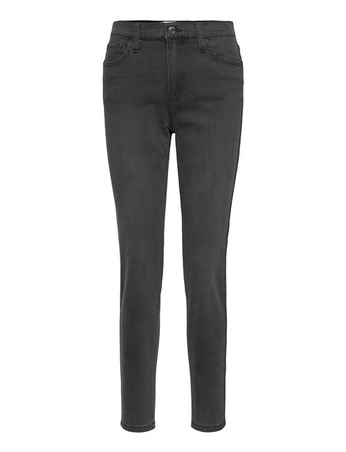 FREE/QUENT | Fqharlow-Je | 29 x 32