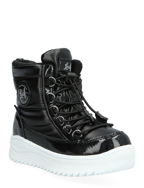 Leaf | Nickby | 29 x 18.4