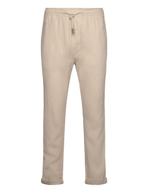 Solid | Sdtaiz Pa | L