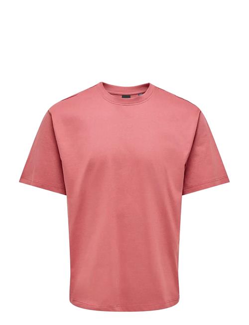 ONLY & SONS | Onsfred Life Rlx Ss Tee Noos | L