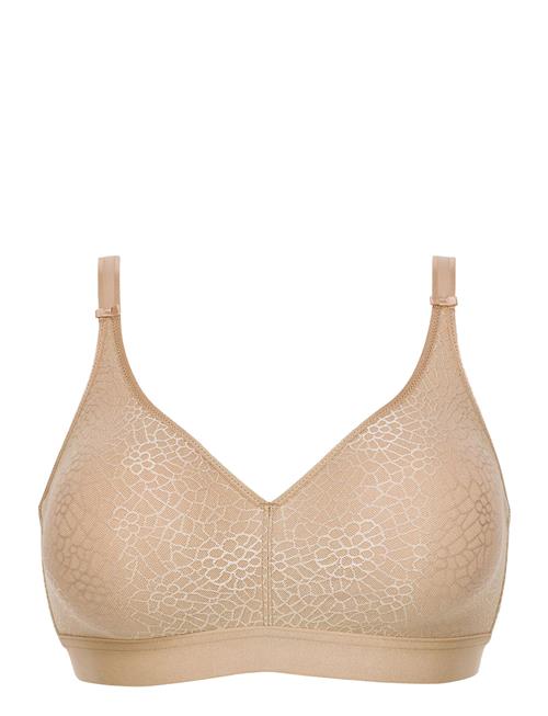 CHANTELLE | C Magnifique | G x 75