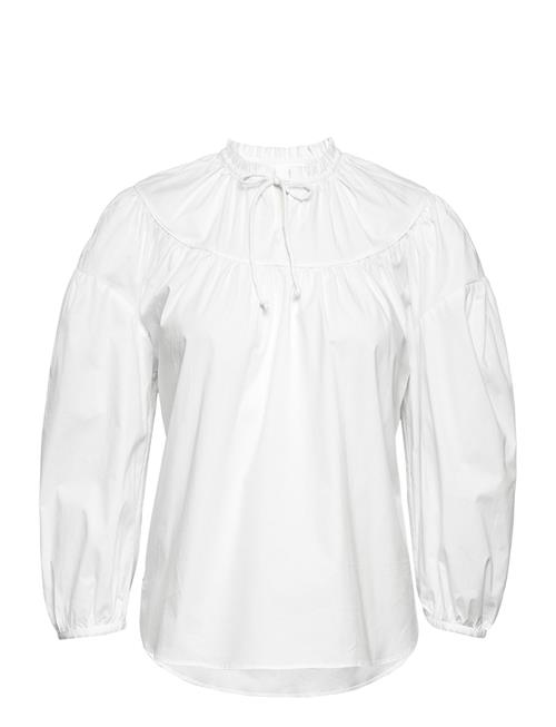 2NDDAY | 2Nd Dorothy - Soft Cotton Solid | 36