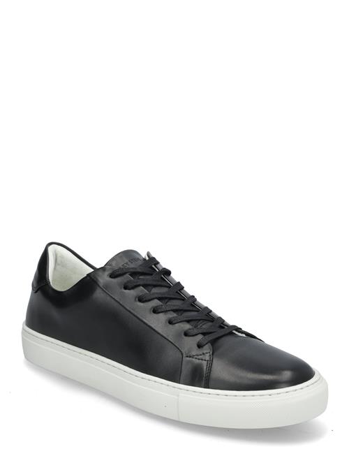 Sneaky Steve | Roony Black | 41
