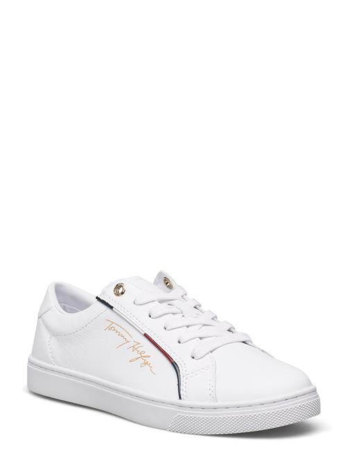 Tommy Hilfiger | Tommy Hilfiger Signature Sneaker | 37