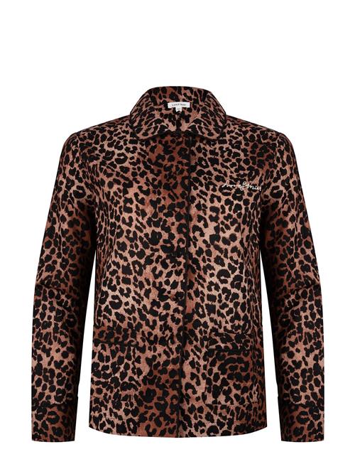 Love Stories | Joe | M