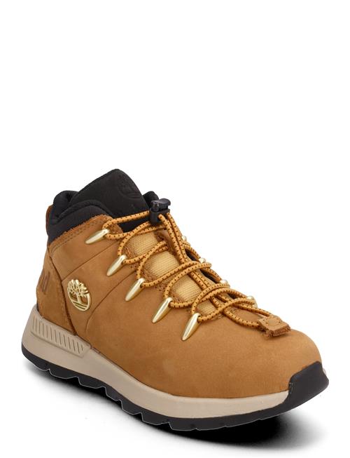 Timberland | Mid Lace Up Sneaker | 33