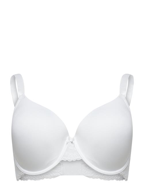 Dorina | Light_Padded Adele Demi | D x 90