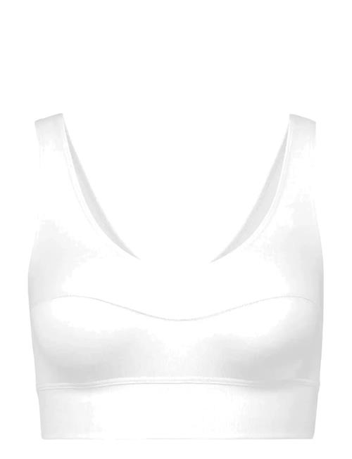 Calida | Elastic  Bustier | M