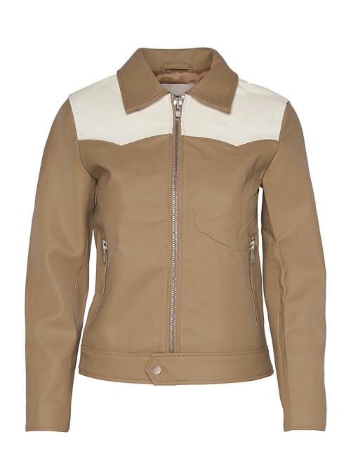 Deadwood | Sharpe Western Cactus | 42