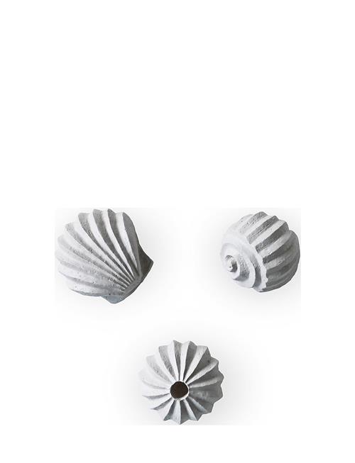 Cooee Design | Sculpture The Genesis Shells Coal | H:4CM