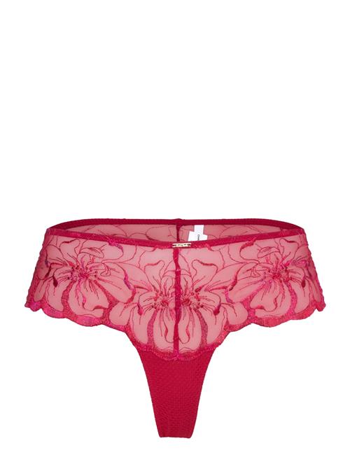 CHANTELLE | Fleurs Revealing Shorty | 42