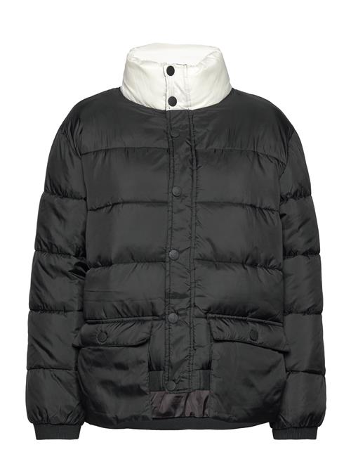 Kangol | Kg Sam Puffer Jacket | S