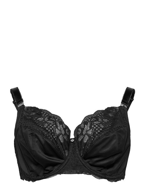 Fantasie | Reflect | G x 80