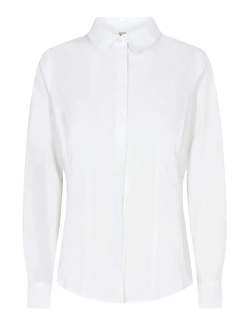 Soyaconcept | Sc-Netti | S