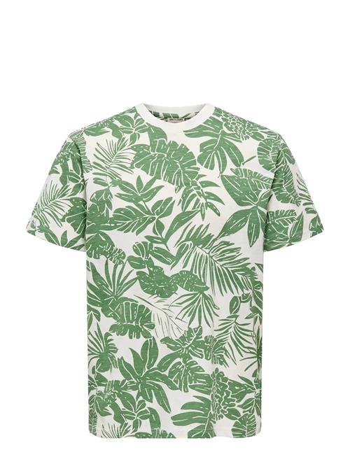 ONLY & SONS | Onsperry Life Reg Leaf Aop Ss Tee Noos | L